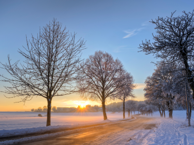 зима, дорога, рассвет, Германия, утро, снег, деревья