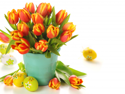 тюльпаны, яйца, Ведерко, букет, пасха, цветы