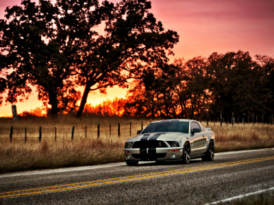 mustang, шелби, мустанг, silvery, gt500, muscle car, форд, shelby, Ford