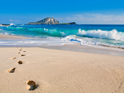 Сша, rabbit island, гавайи, oahu, гавайские острова, тихий океан