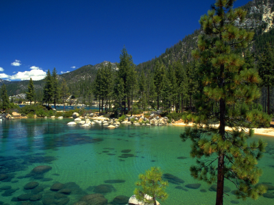 california, озеро, лес, камни, lake tahoe