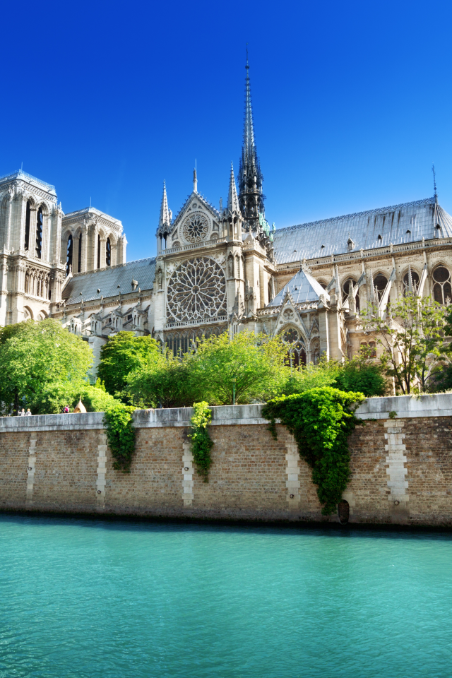 paris, france, собор парижской богоматери, Notre dame de paris