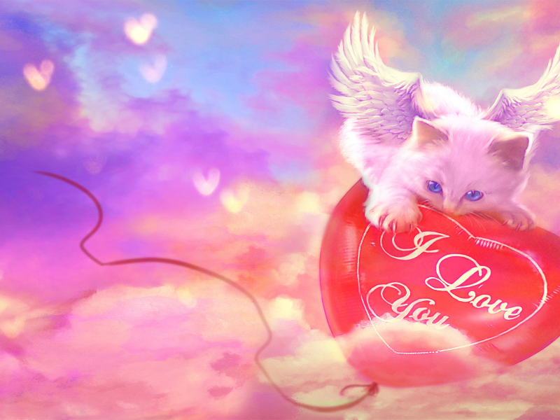 Кошка, сердечки, надпись, воздушный шар, крылья