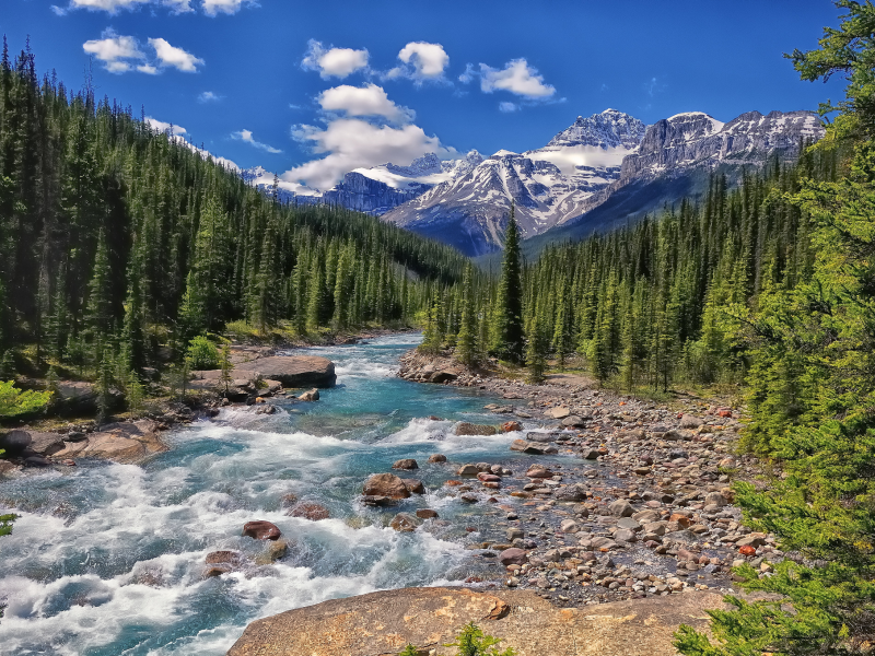 banff national park, canada, национальный парк банф, Mistaya river, alberta