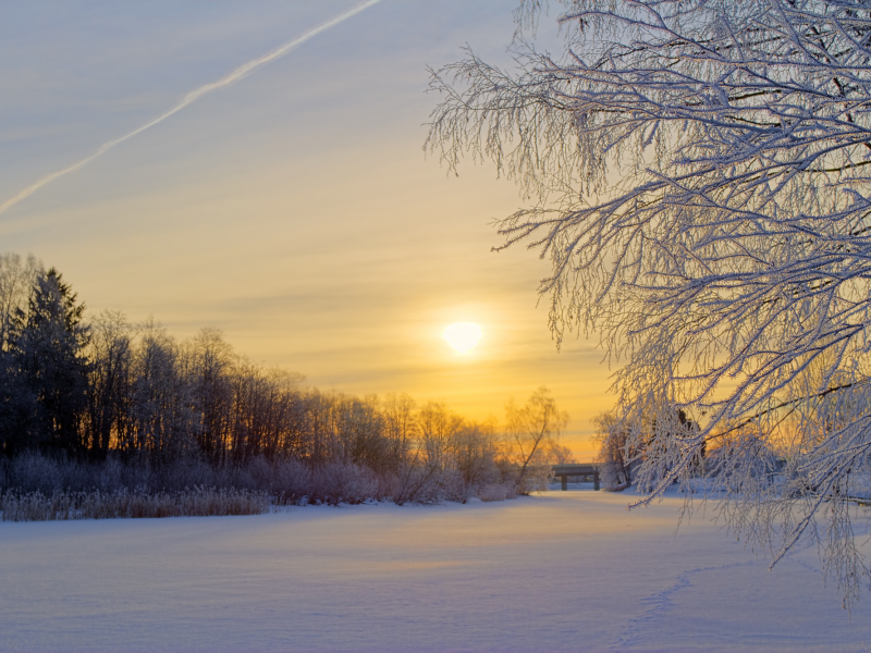Швеция, утро, поляна, деревья, зима, иней, снег, лес