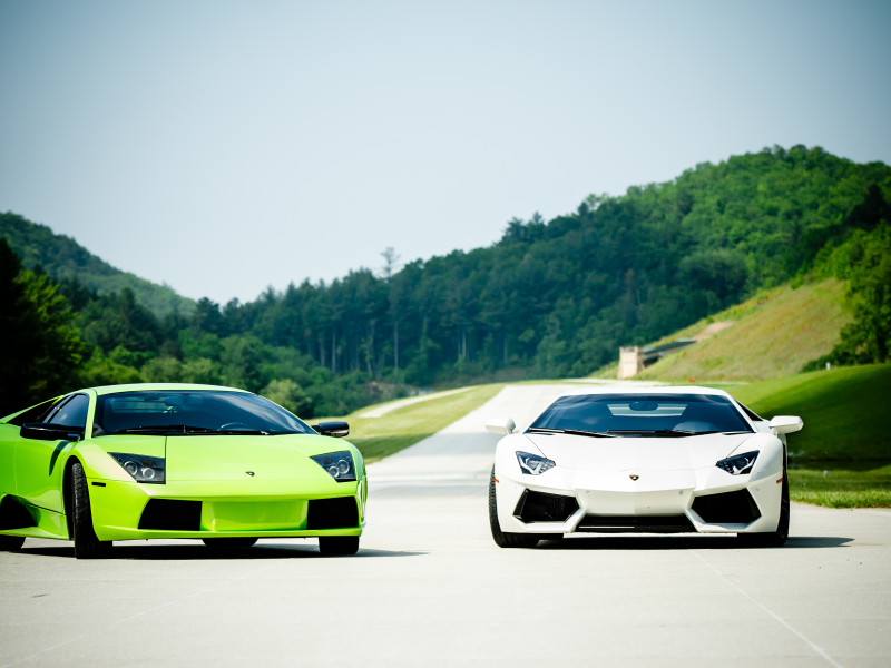 aventador, lp640, murcielago, white, lp700-4, lamborghini, ламборгини, green