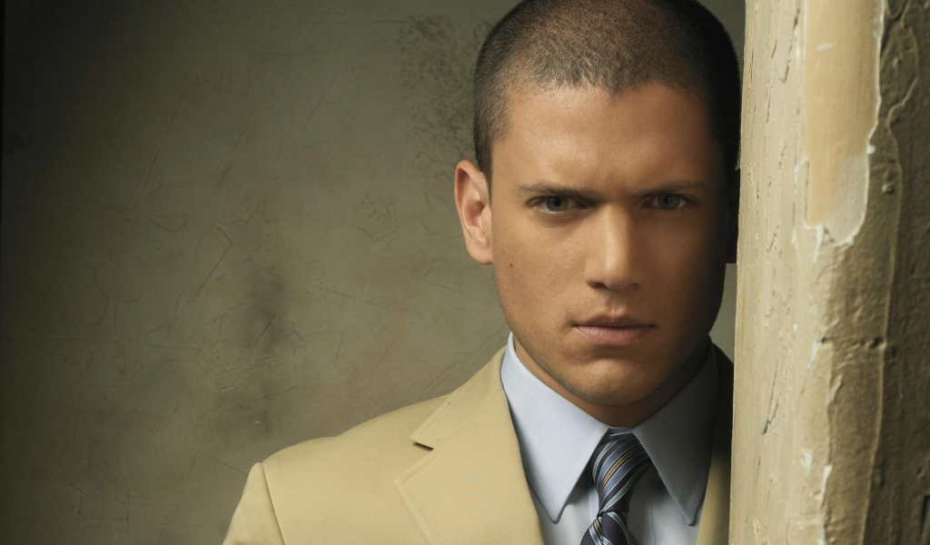 wentworth miller, актер, мужчина, взгляд