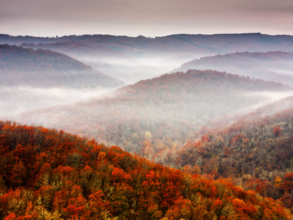 sky, tree, fall, foliage, осень, лес, mountains, природа, nature, небо, горы