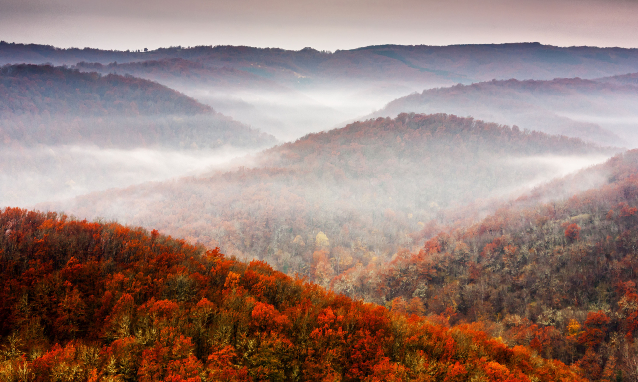 sky, tree, fall, foliage, осень, лес, mountains, природа, nature, небо, горы