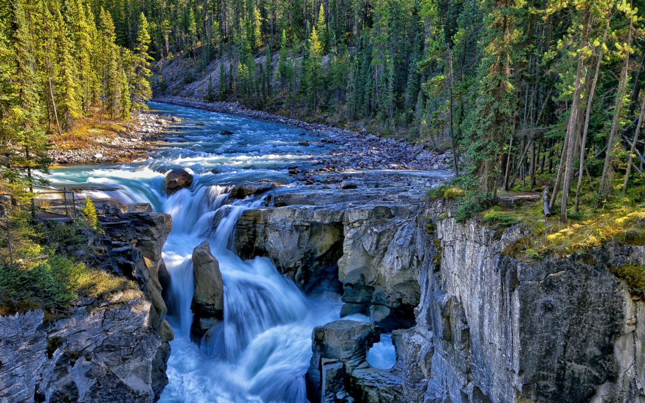 sunwapta river, канада, jasper national park, canada, водопад, sunwapta falls