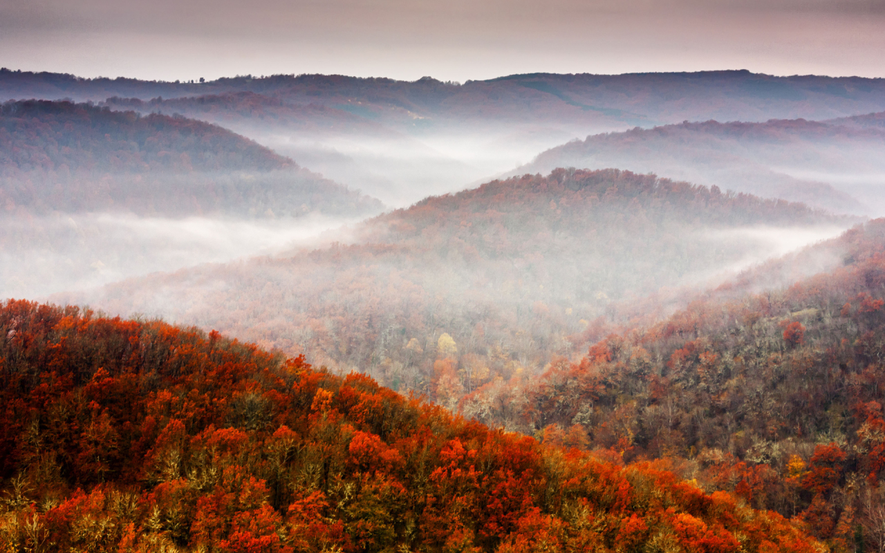 sky, tree, fall, foliage, осень, лес, mountains, природа, nature, небо, горы