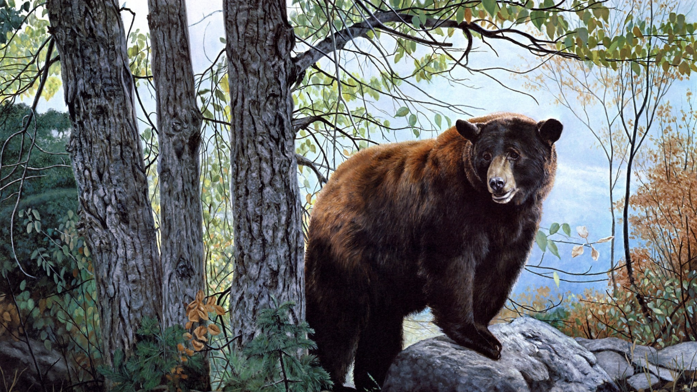 бурый медведь, morning watch, nature, charles frace, painting, bear, forest