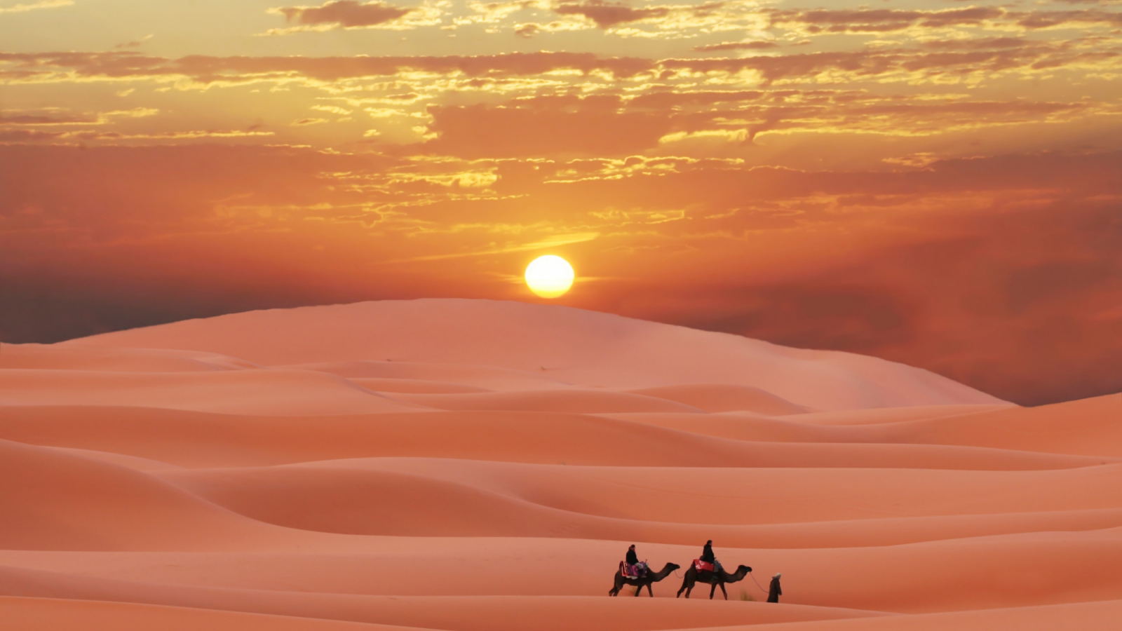 пустыня, марокко, караван, пески, сахара, берберы