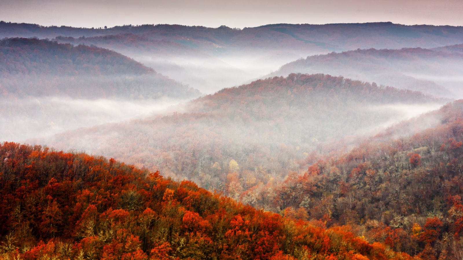 sky, tree, fall, foliage, осень, лес, mountains, природа, nature, небо, горы