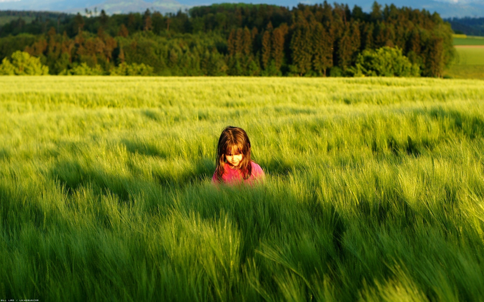 зелень, девочка. природа, настроения, дети, луг, трава
