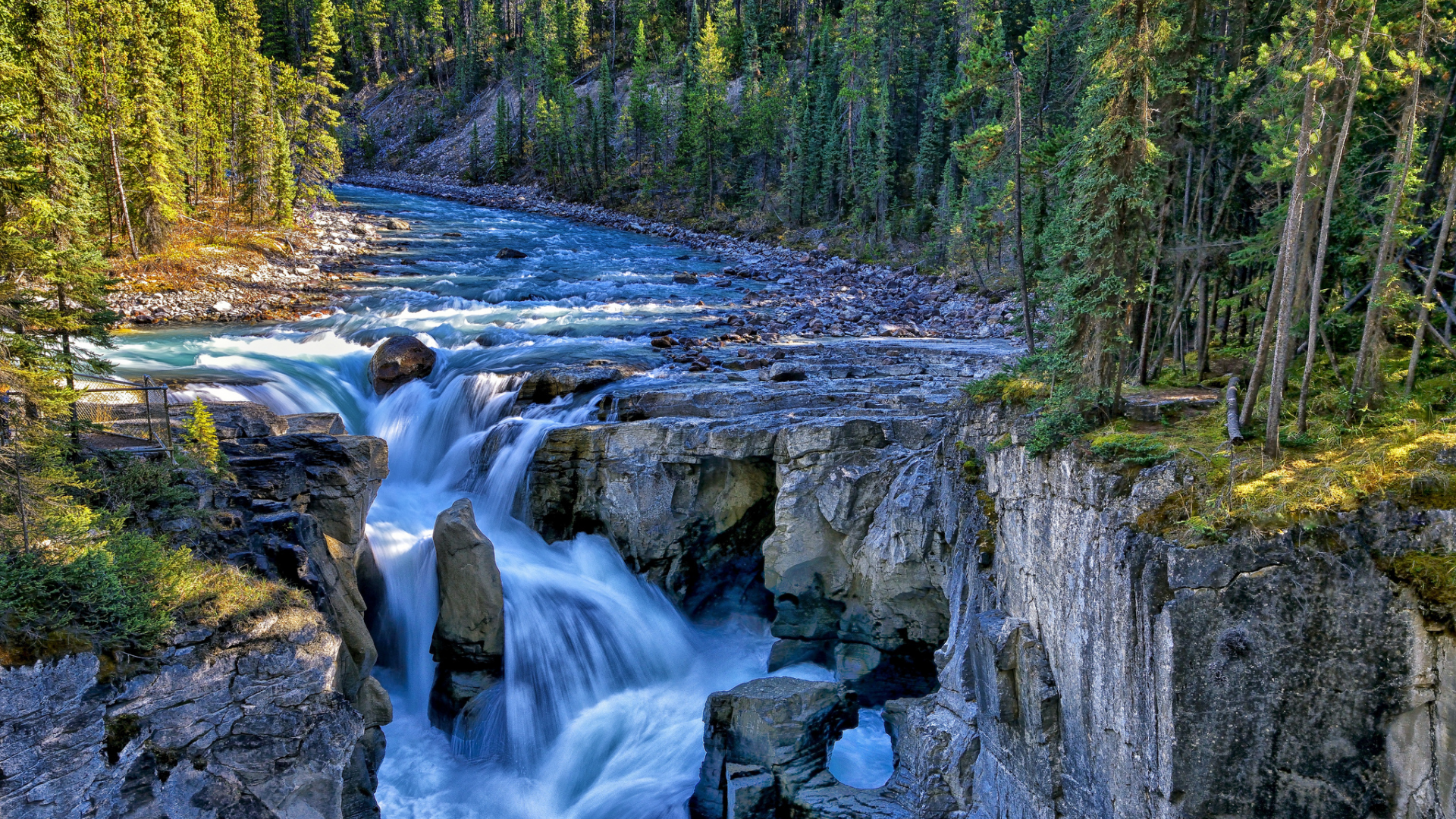 sunwapta river, канада, jasper national park, canada, водопад, sunwapta falls