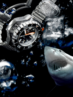 seamaster, ploprof, вода, часы, акула, omega, 1200m