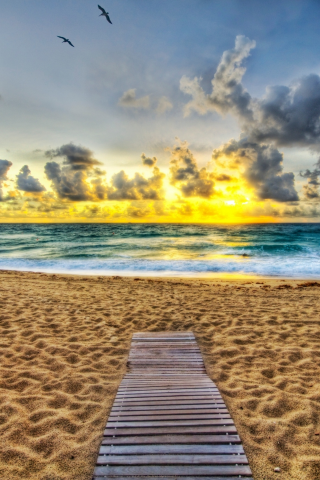 palm beach, восход, пляж, флорида, florida, палм-бич, океан