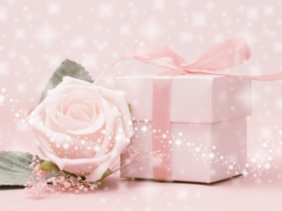 коробка. лента, розовый фон, цветок, роза