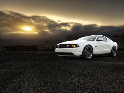форд, muscle car, 5.0, white, front, ford, белый, mustang, gt, мустанг