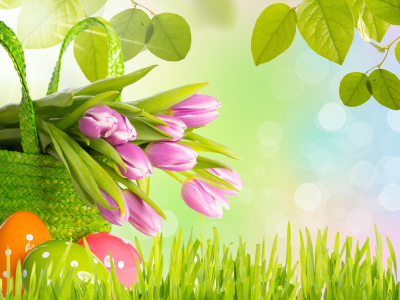 easter, трава, весна, листья, яиц, цветы, тюльпаны, пасха