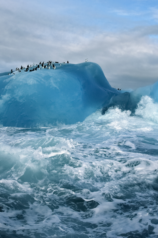 ice, cold, water, arctic, blue