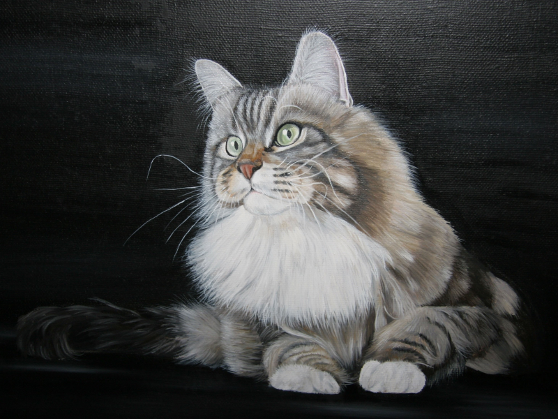 живопись, painting, кот, арт, зеленоглазый, картина, котяра