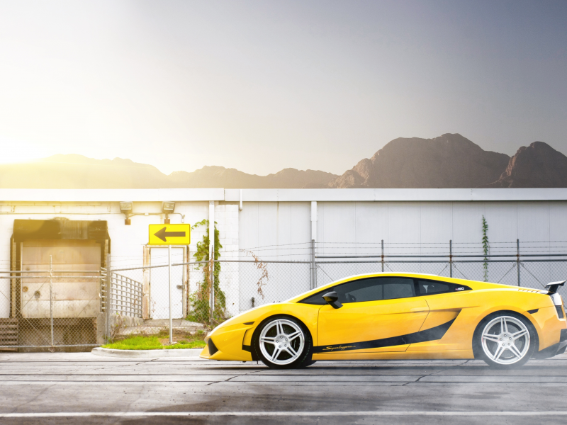 gallardo, ламборджини, lamborghini, yellow, superleggera, ламборгини