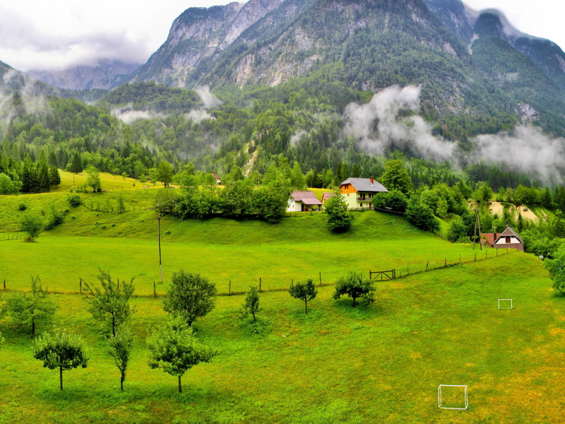 slovenia, дома, трава, лес, облака, горы, словения, деревья