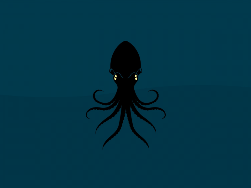 осьминог, животное, octopus