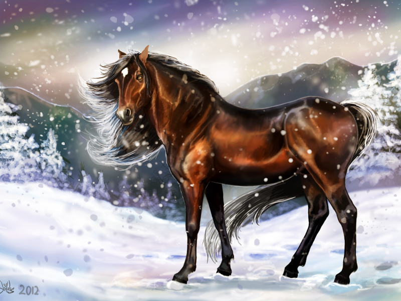 грива, лошадь, животное, арт, взгляд, живопись, зима