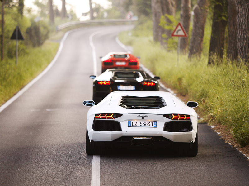 lp700-4, white, three, black, lamborghini aventador, road, mix, trees, red