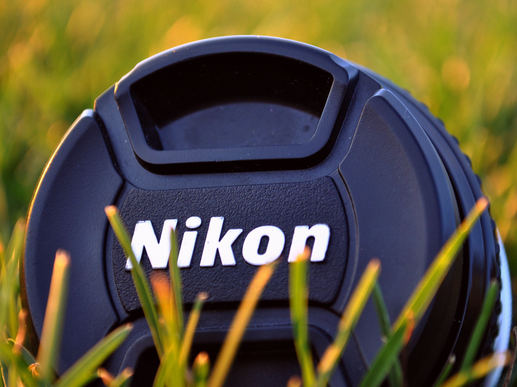 трава, фото, объектив, фотоаппарат, nikon, никон, зелень