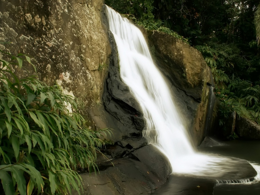 скалы, природа, джунгли, водопад