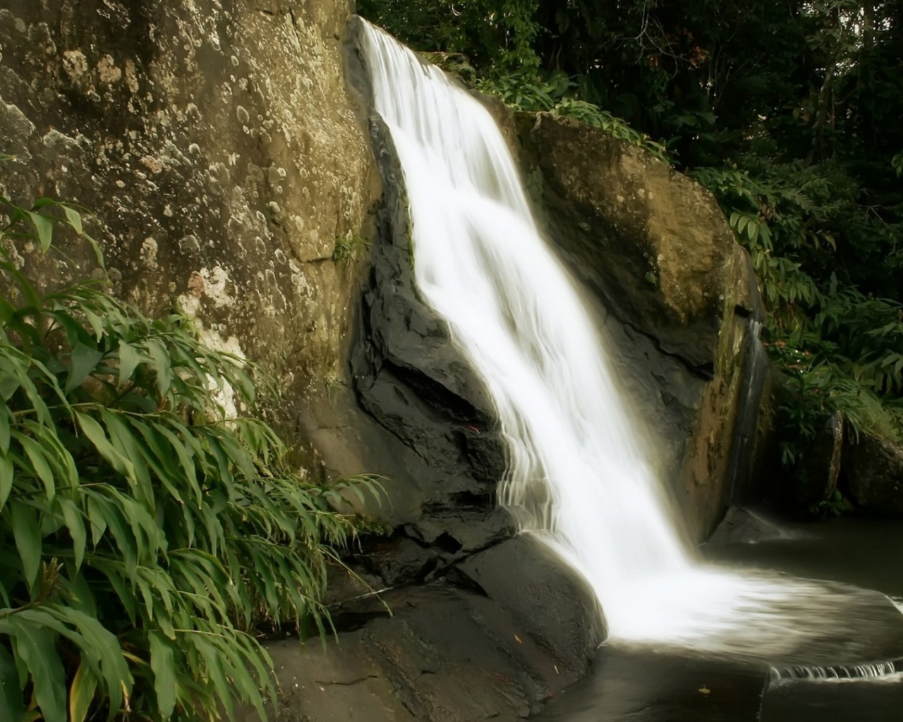 скалы, природа, джунгли, водопад