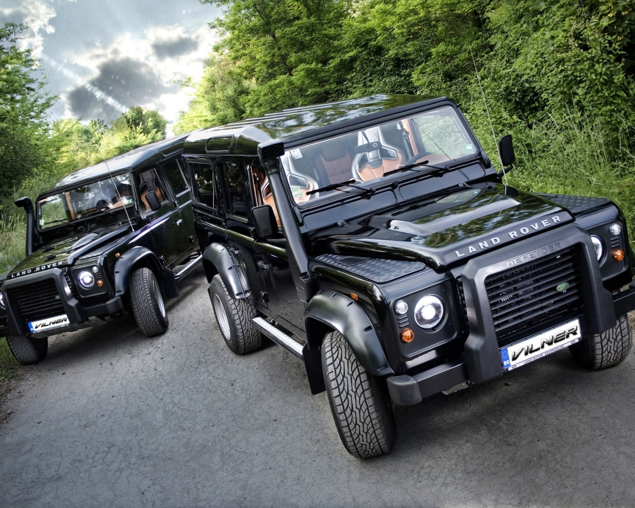 небо, land, vilner, off road, studio, defender, бездорожье, растительность, the twins, rover