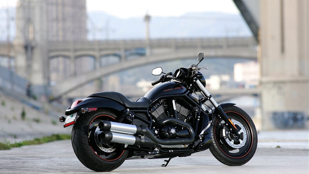 harley-davidson, мотоцикл, vrscdx, night rod special