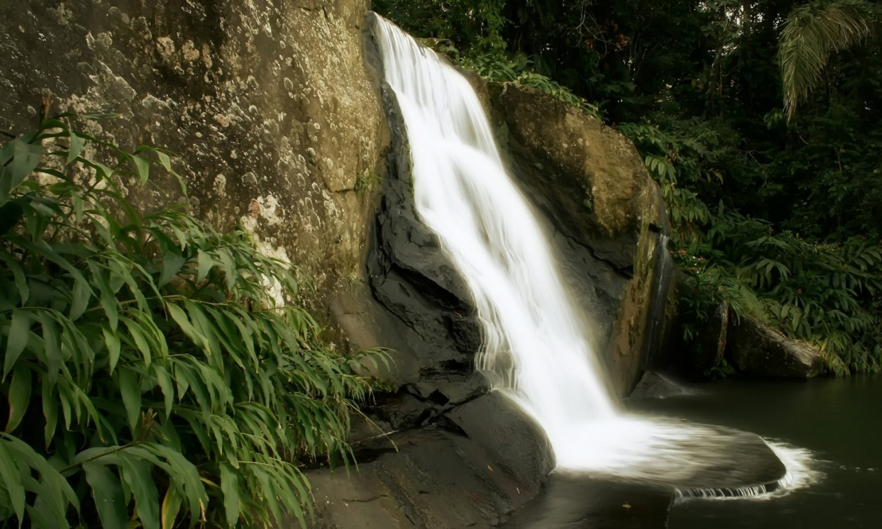 скалы, природа, джунгли, водопад