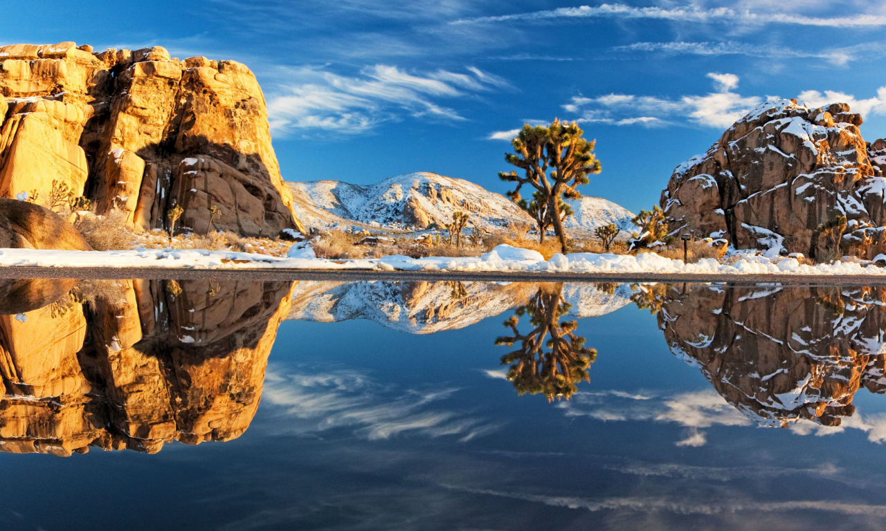 природа, снег, joshua tree national park, вода, деревья, камни, зима, дерево, пейзажи, камень, америка