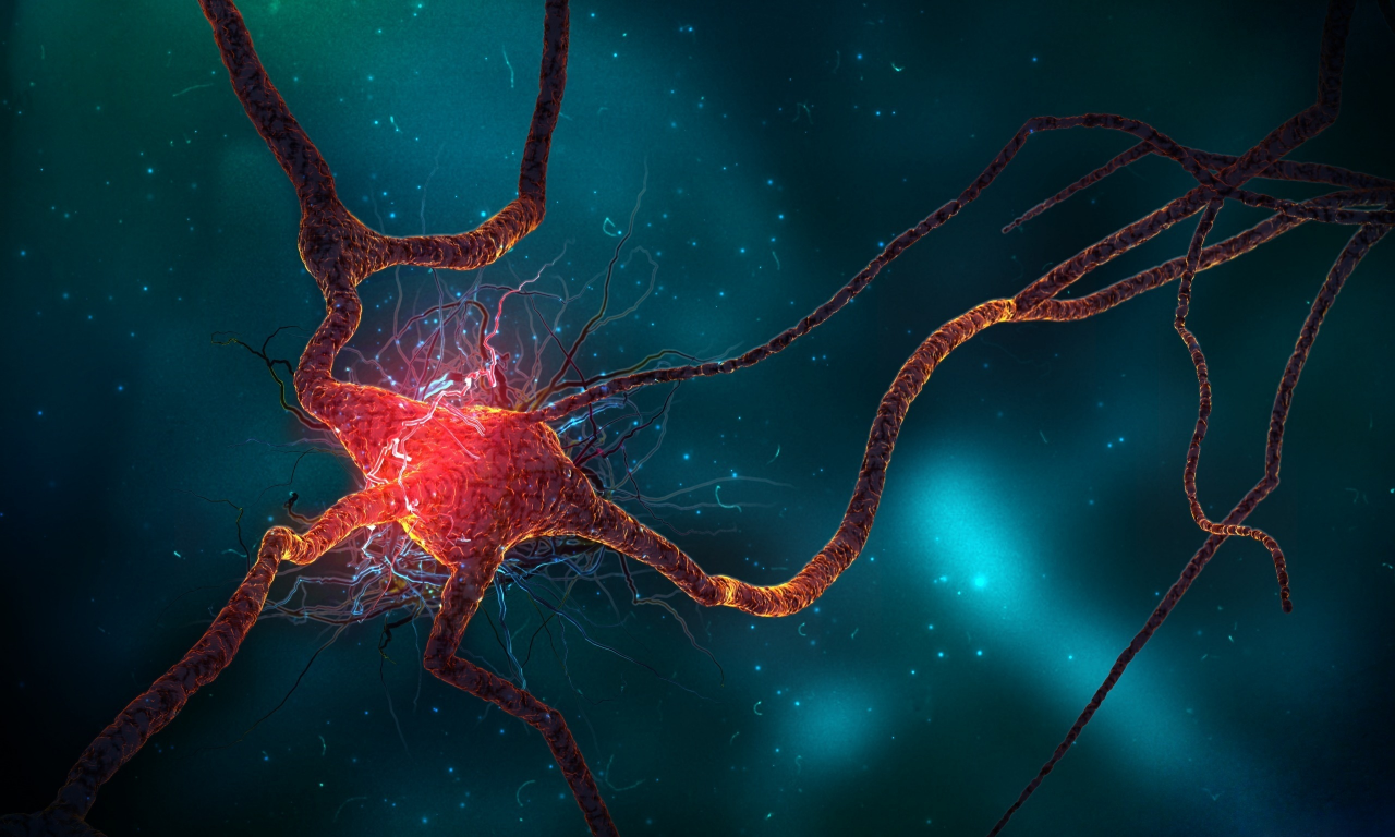 нейрон, нерв, neuron spike train