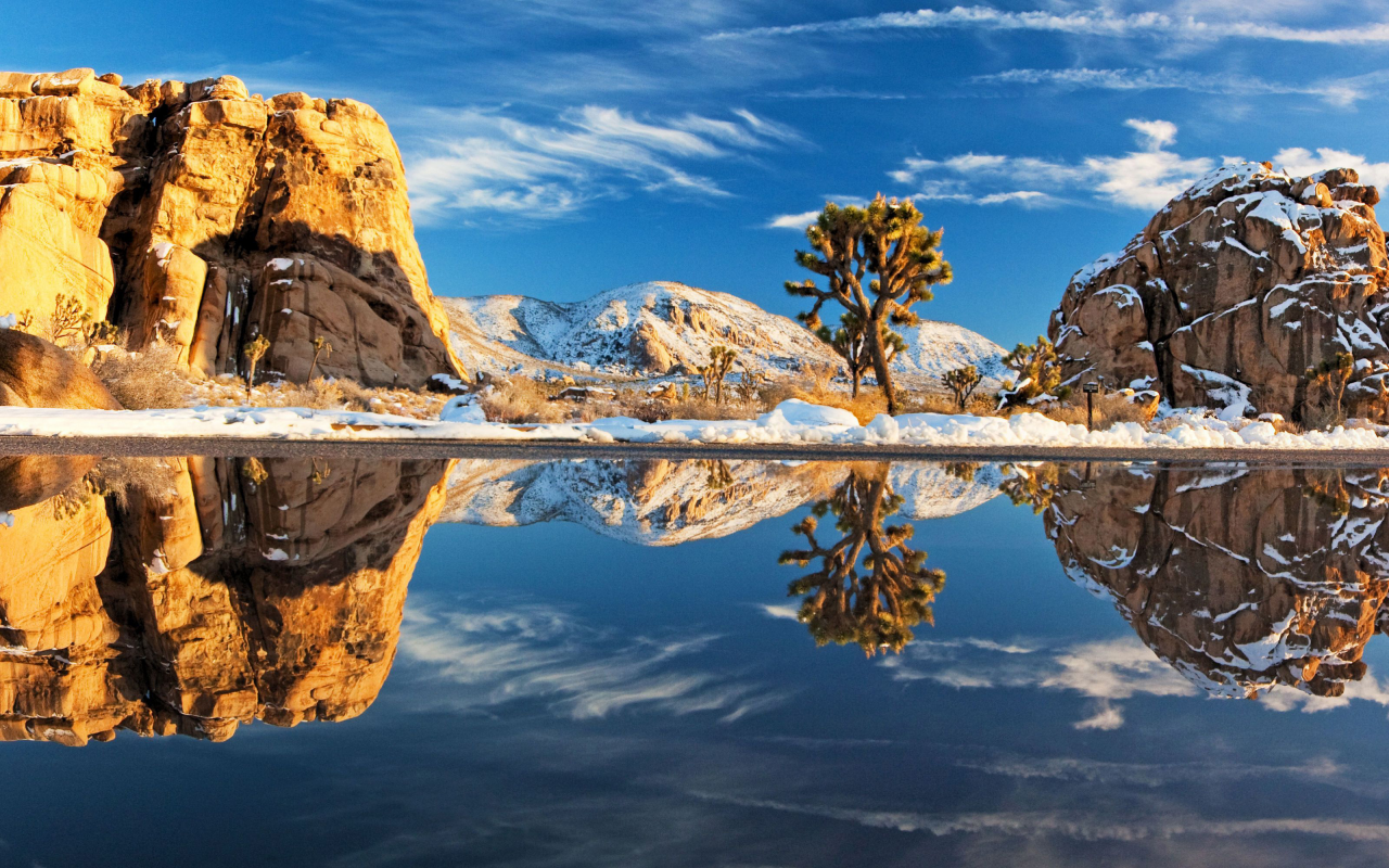 природа, снег, joshua tree national park, вода, деревья, камни, зима, дерево, пейзажи, камень, америка