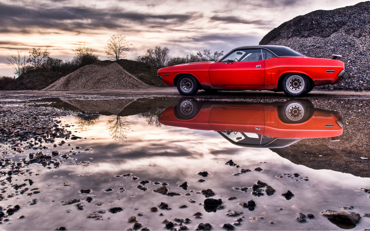 challenger, american muscle cars, dodge