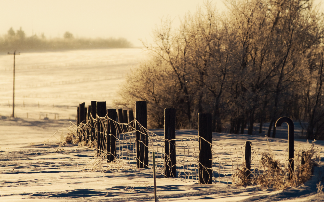 забор, снег, зима, тона, природа