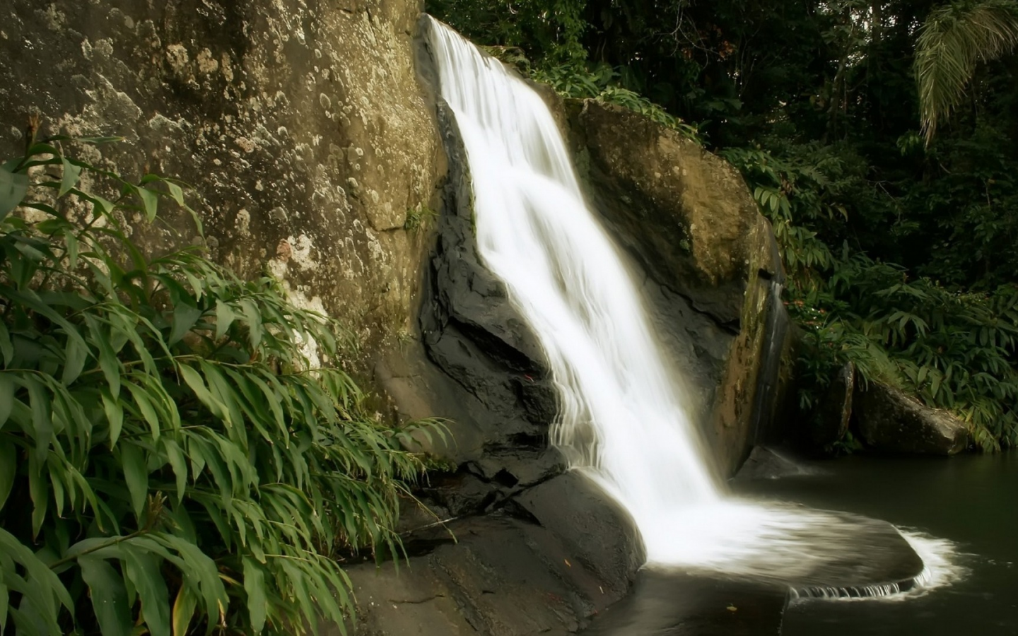 скалы, природа, джунгли, водопад