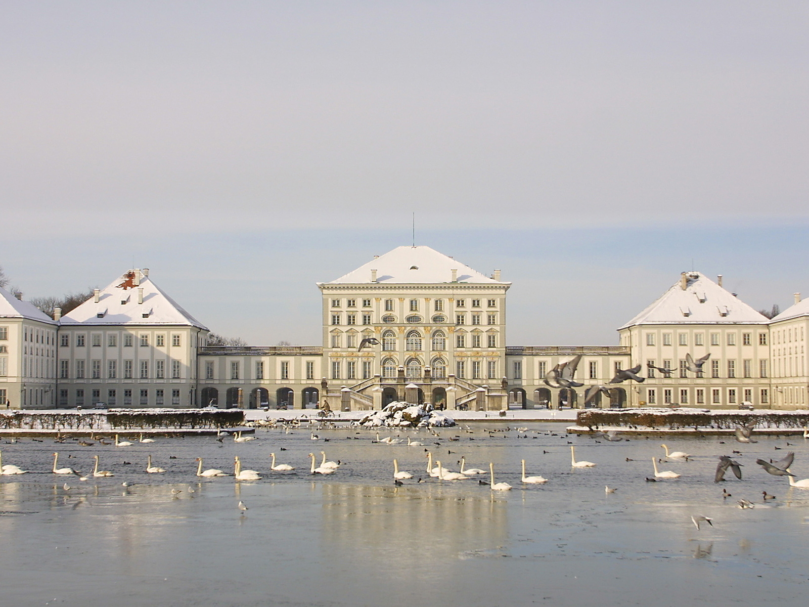 озеро, зима, palace, лебеди, птицы, дворец