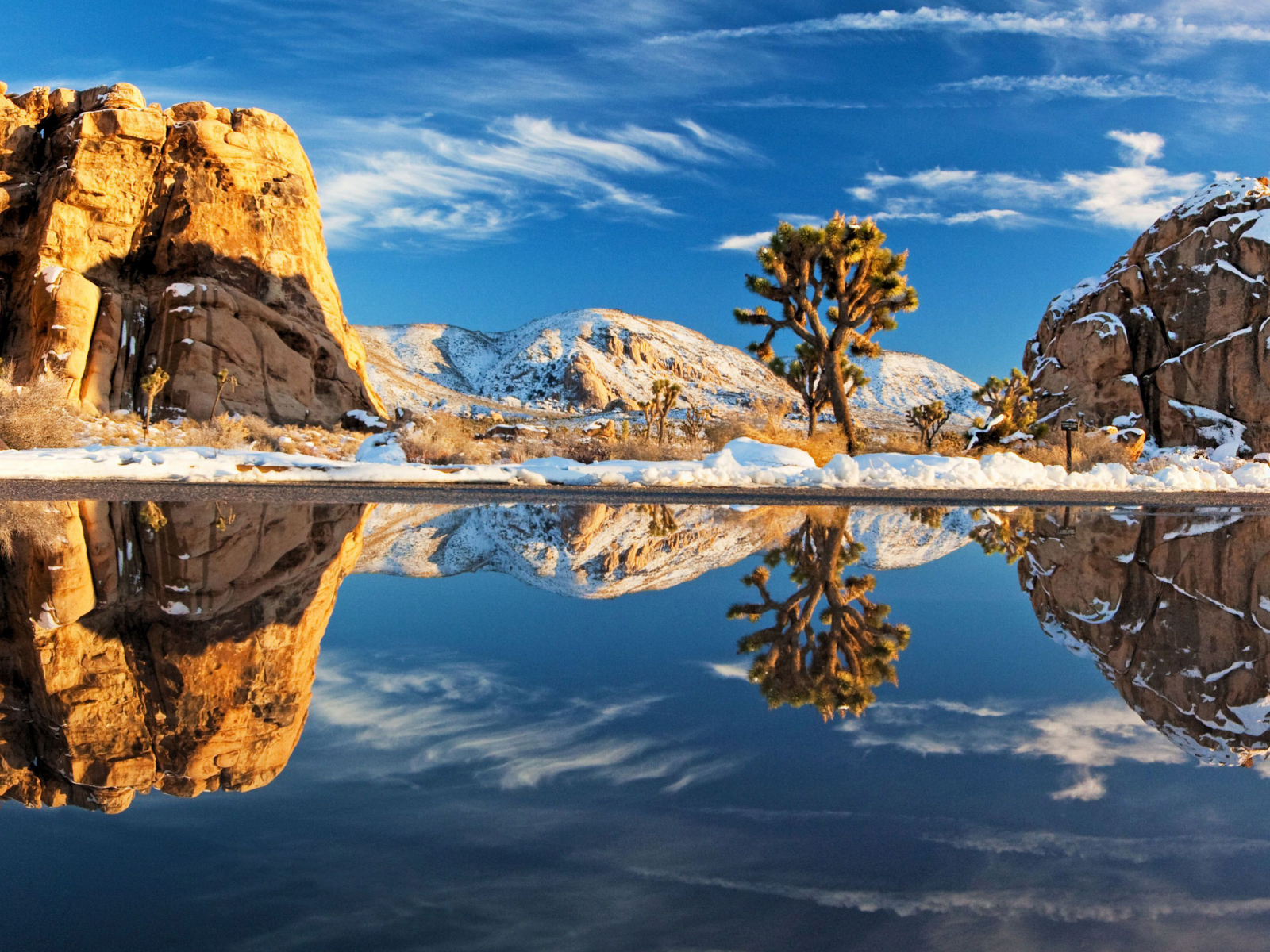 природа, снег, joshua tree national park, вода, деревья, камни, зима, дерево, пейзажи, камень, америка