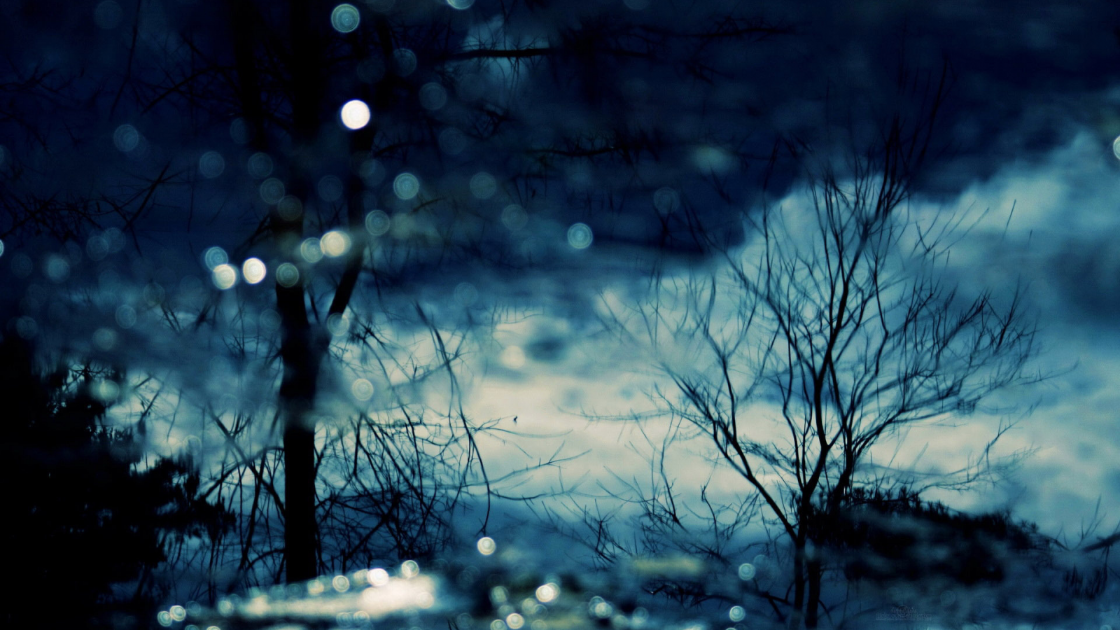 вода, вечер, природа, деревья, отражение