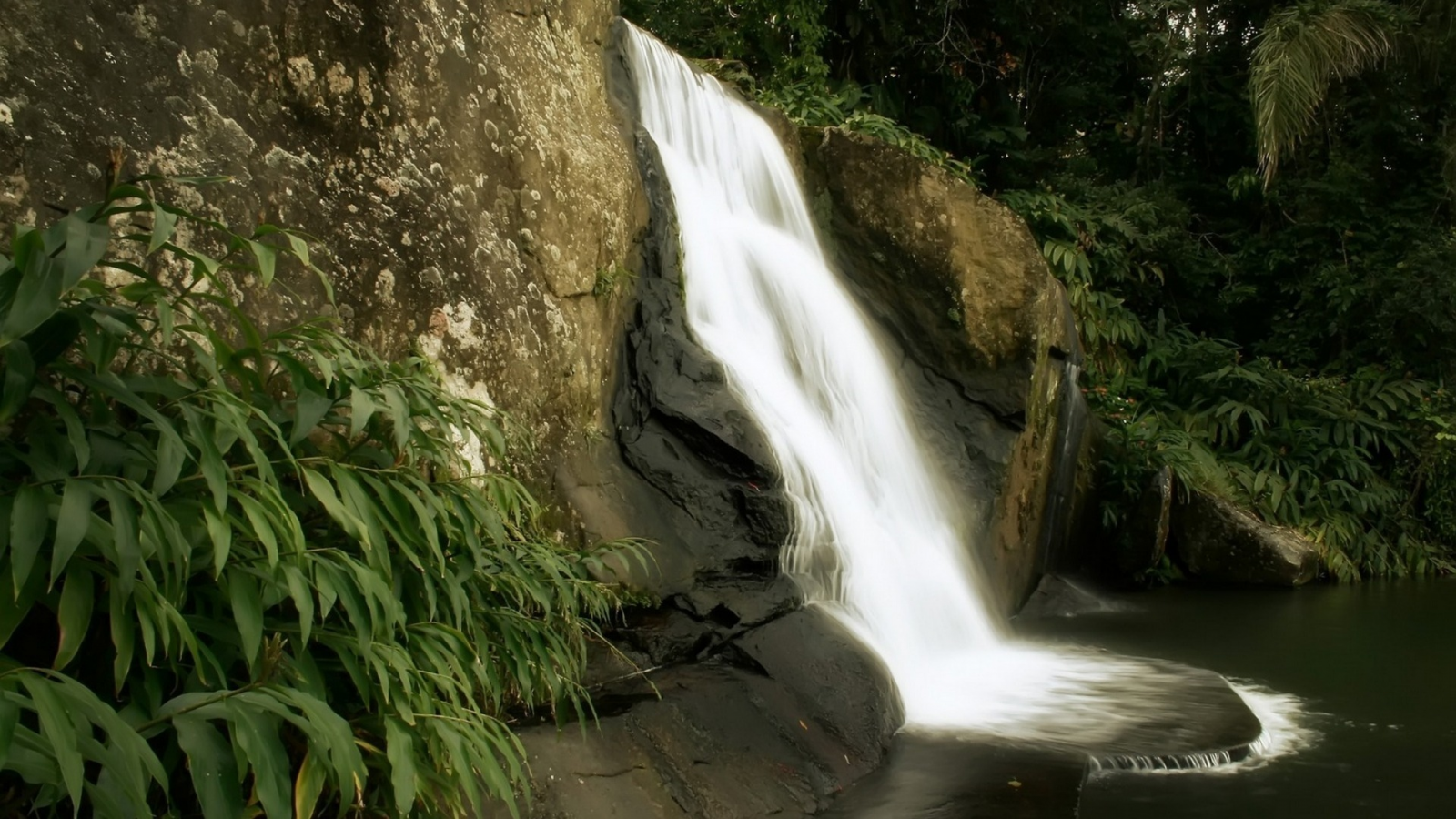 скалы, природа, джунгли, водопад