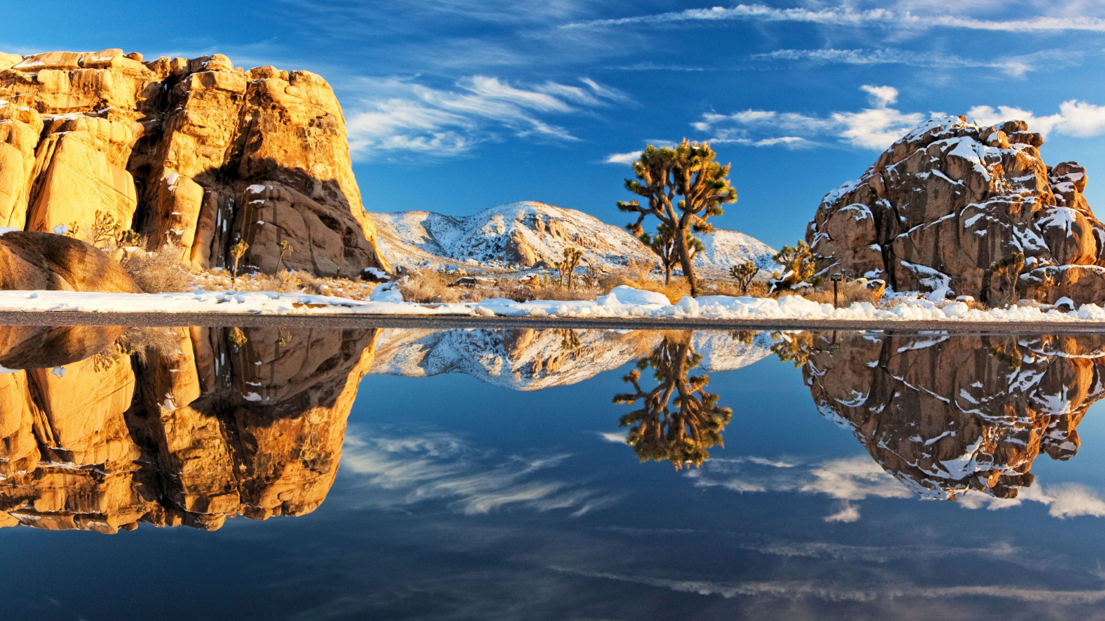 природа, снег, joshua tree national park, вода, деревья, камни, зима, дерево, пейзажи, камень, америка