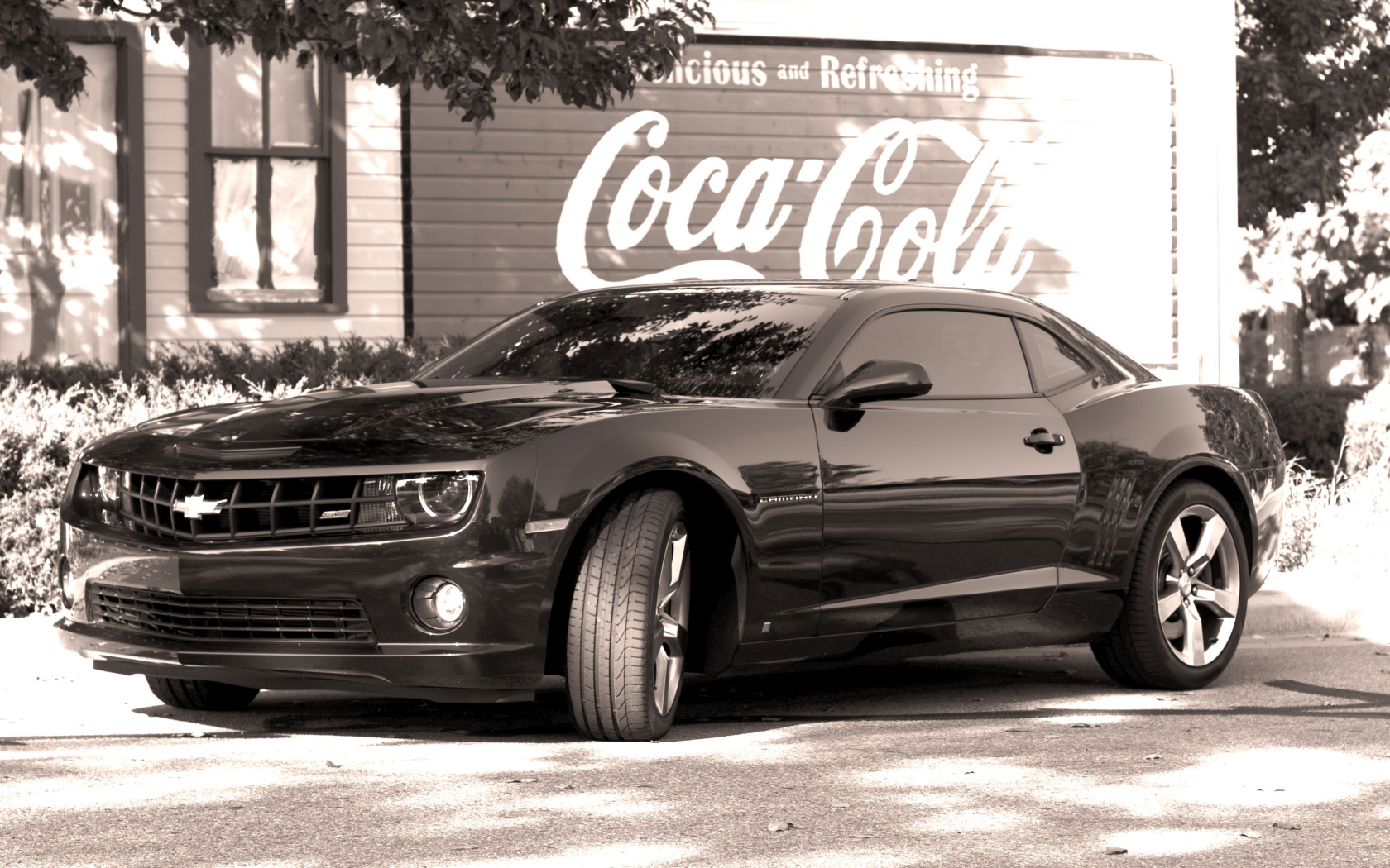 camaro, black, chevrolet, coca cola